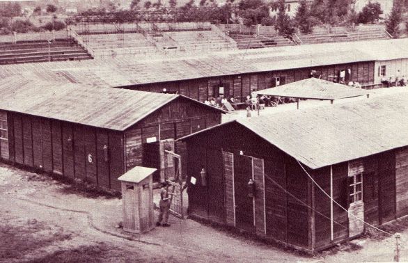 Le baracche nel Campo di Coltano.jpg